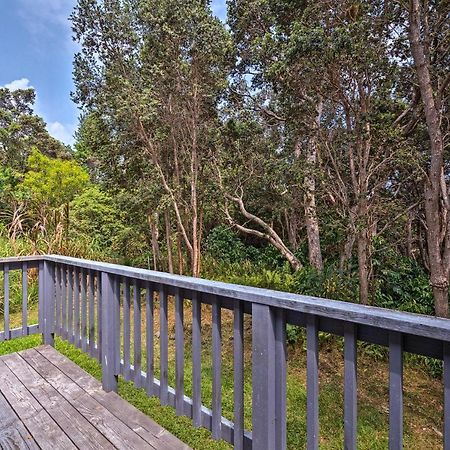 Peaceful Abode With Deck, 13 Mi To Black Sand Beach! Naalehu Buitenkant foto